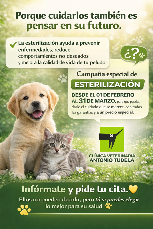 Campaña de esterilización veterinaria